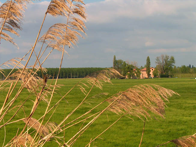 06 S. Ambrogio, Nonantola, Bastiglia, Modena